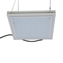 Aeroponica, Brands_Phytolite, Coltivazione, Fase_Agro, Fase_Crescita, Fase_Fioritura, Idroponica, illuminazione, impianti illuminazione, Indoor, LED, LED coltivazione, Potenza_30 W, TIpo_Illuminazione LED, Tipo_Kit Illuminazione, Tipo_Led - doisgrowshop.it